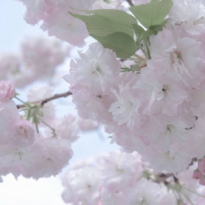 万安FurryQQ群介绍